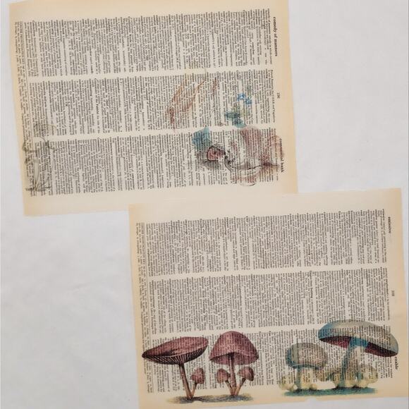 Mushroom Dictionary Prints, Colorful Mushroom Prints, Book Page Prints - Picture 6 of 6